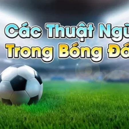 Thuật Ngữ Cá Độ Bóng Đá – Thông Tin Bao Quát Giới Túc Cầu