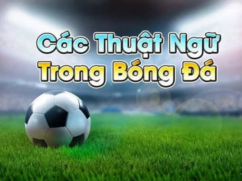 HIểu được thuật ngữ là lợi thế trong cá kèo